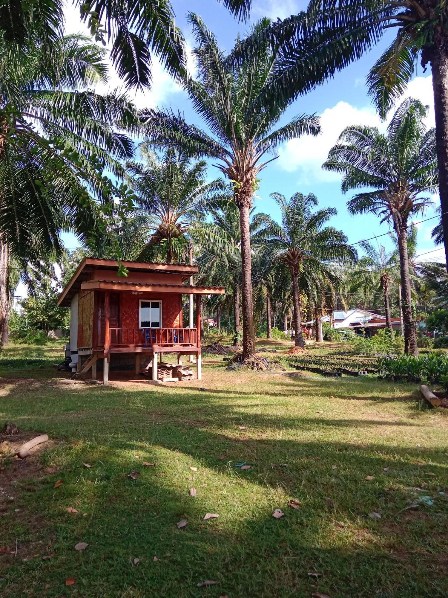 Hotel Som Palmgarden Ko Lanta Exterior foto