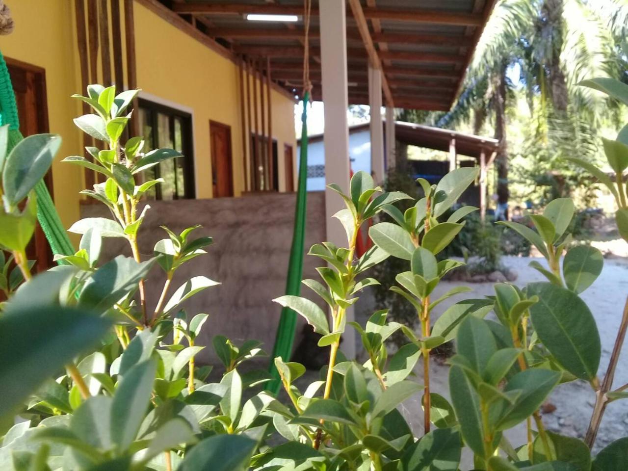 Hotel Som Palmgarden Ko Lanta Exterior foto